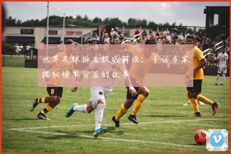世界足球排名权威解读：专访专家揭秘榜单背后的故事