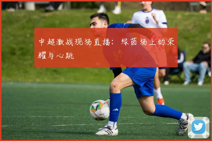 中超激战现场直播：绿茵场上的荣耀与心跳